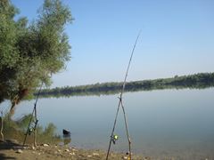 pescuit la Dunare